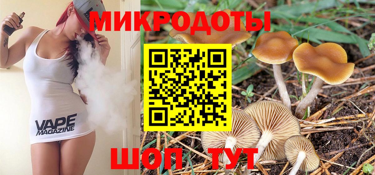Галлюциногенные грибы Psilocybe Кызыл