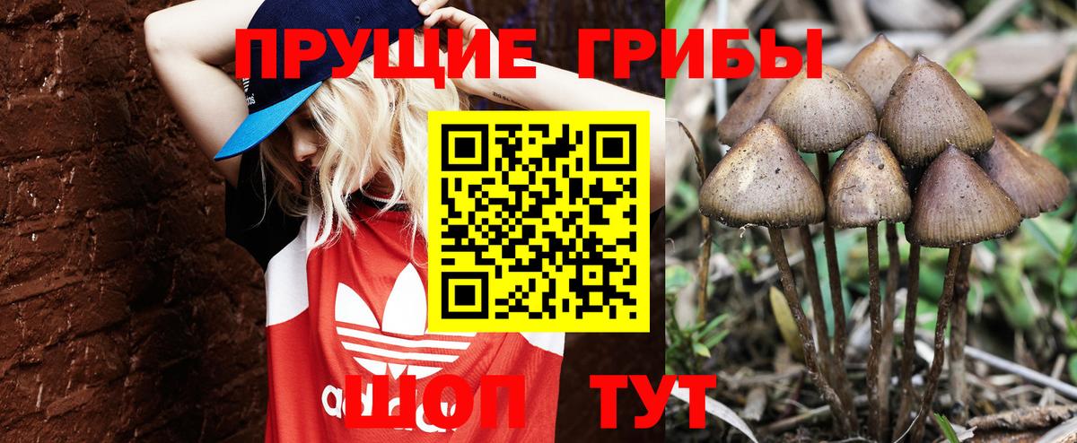 Псилоцибиновые грибы ЛСД  Вход с VPN  Галлюциногенные грибы прущие грибы  Кызыл 